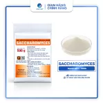 Men Tiêu Hóa Sacccharomyces Đậm Đặc